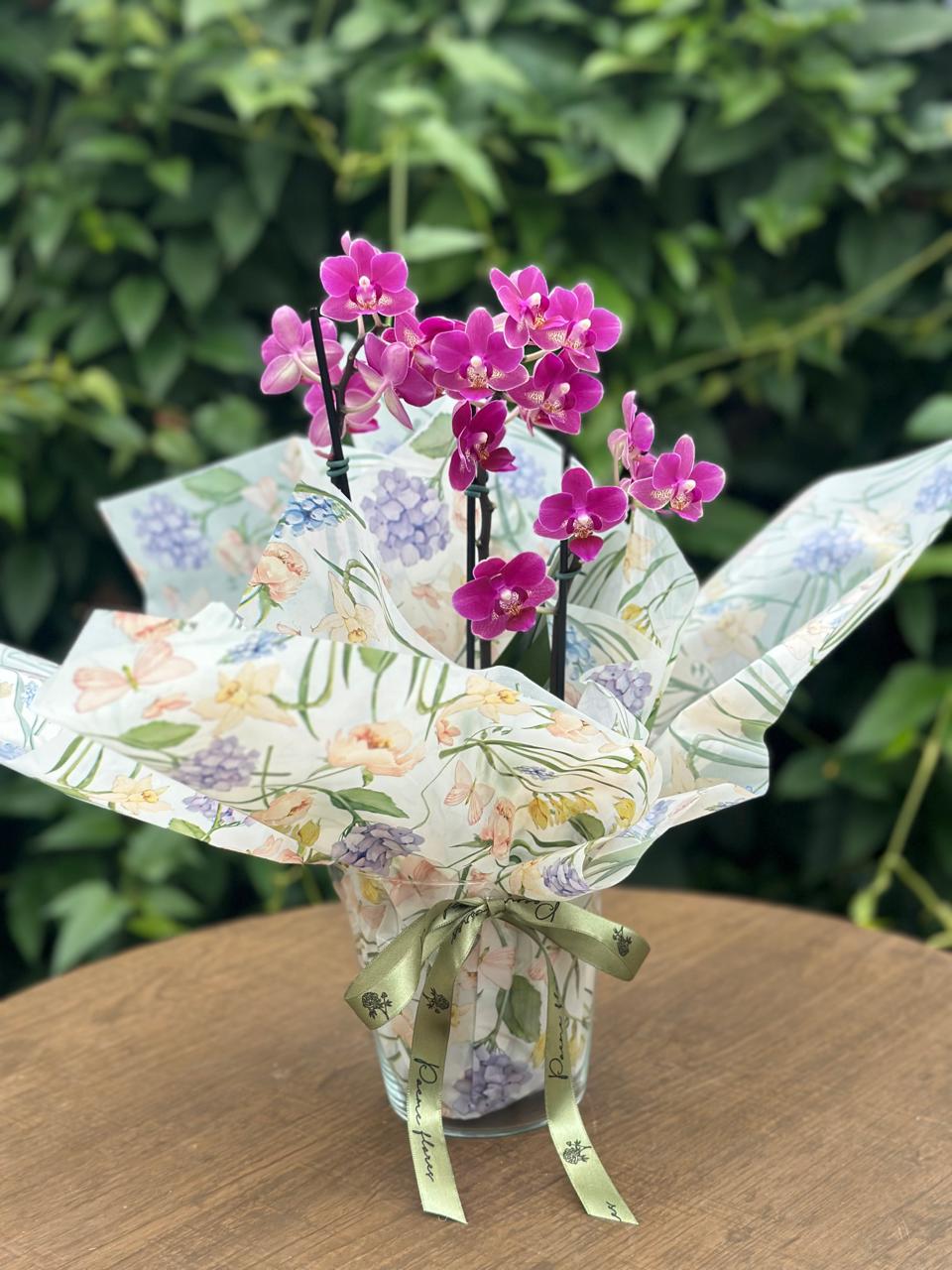 Orquídea Vaso de Vidro — Poeme Flores, floricultura em Jundiaí