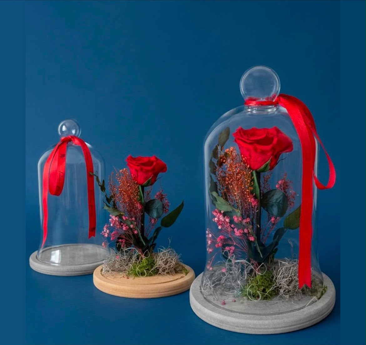 Rosa Amor Eterno — Poeme Flores, floricultura em Jundiaí