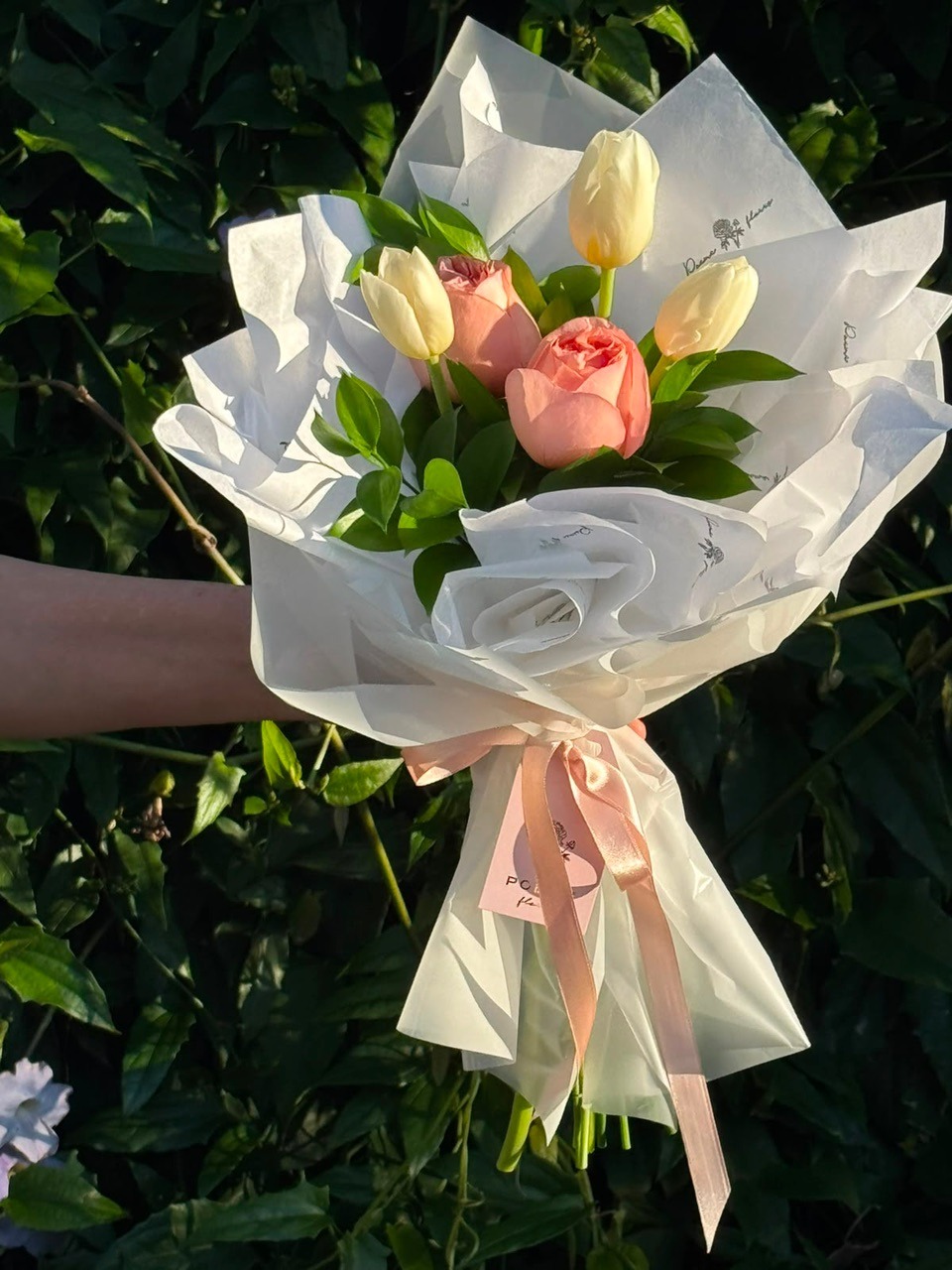 Petit Tulipa — Poeme Flores, floricultura em Jundiaí