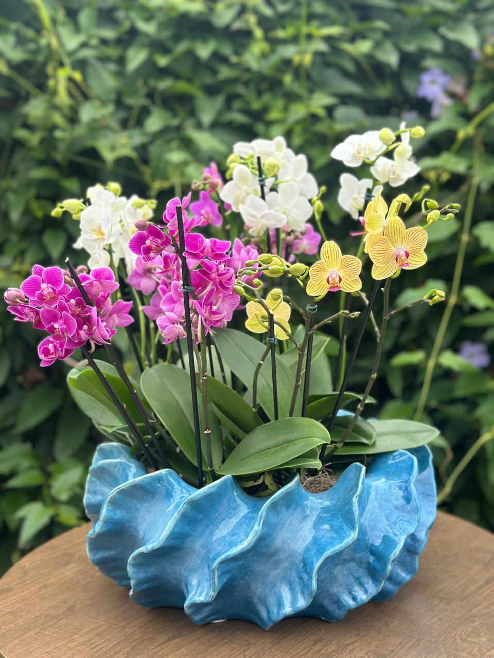Côte d´ Azur — Poeme Flores, floricultura em Jundiaí